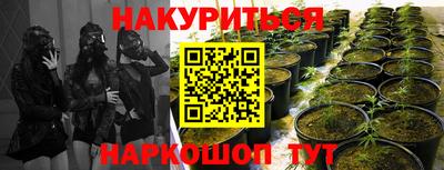мескалин Можга