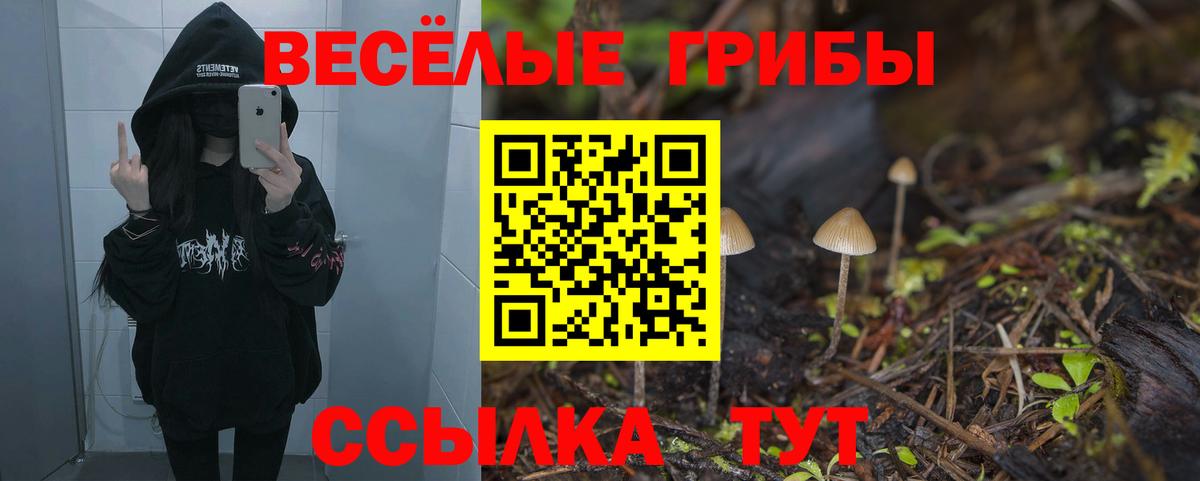 Псилоцибиновые грибы мицелий  Вход с VPN  Северобайкальск 